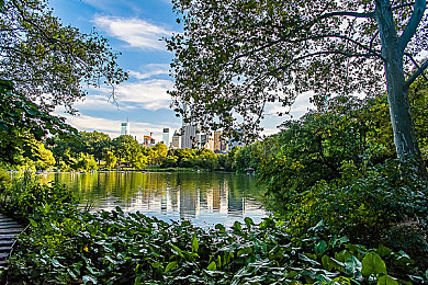 胡桃挤出白色汁液的解决方法：火系主C生存与输出平衡新策略，版本强势角色养成指南公开-4