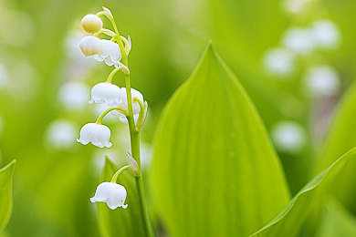 打扑克又叫又爽：当卡牌策略与极速狂飙碰撞，体验脑力与激情的双重对决