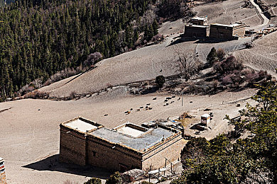 台北娜娜nana卡洗衣机是什么only：都市情感谜题，节奏解锁心扉的奇谭物语