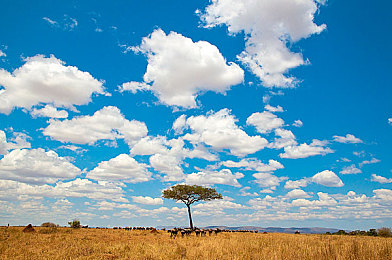 蜜桃AVSe:未来都市竞速新作登场,霓虹街头掀起甜蜜科技风暴-3