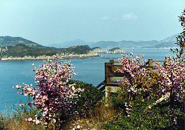 汤姆影院tom影院隐藏入口在哪看:霓虹旧城午夜密令,胶片图腾下的极速秘闻-2