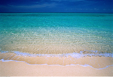 世上最不1-3人纪录片：极限竞速地平线，自由驰骋的开放世界竞速体验