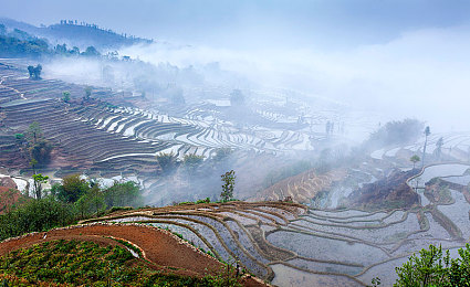 亚洲综合一区二：霓虹都市与雨林山径，东方赛道极限穿梭之旅