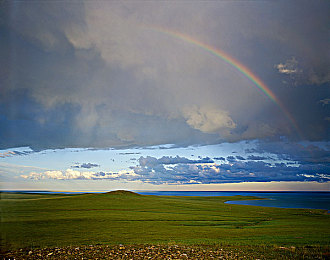 男生和女生一差差差:《极速狂飙:地平线》性别驾驶风格引热议,专业攻略助你突破极限-4