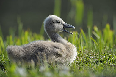 黄色入口：虚幻5竞速新作动态霓虹赛道，视觉与物理系统革新引爆感官挑战