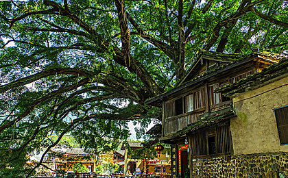 黄色软件网站oppo:极限改装隐藏配件揭秘,街头争霸黄金代码攻略全解析-3