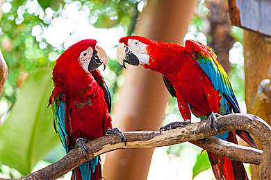 男女打扑克：策略卡牌驱动极速狂飙，全新竞速游戏颠覆传统玩法-2