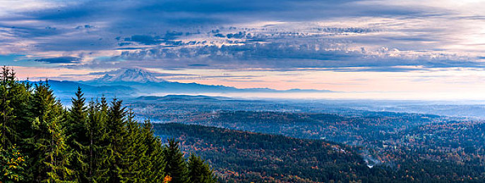 禁止下载十款免费软件：畅玩赛车游戏不踩雷，这份安全指南请收好