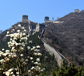 软件网站下载3.0.3免费破解版安装：极限竞速地平线5终极攻略，合法解锁全车辆与无限资源-2