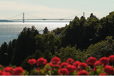 婷婷宗合:极限竞速地平线5,打造完美座驾的终极改装指南-2