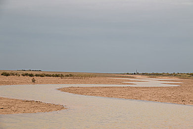 十大黄色禁止软件：驾驭真实，征服弯道，在汗水与时间铺就的冠军之路上拒绝所有虚假捷径