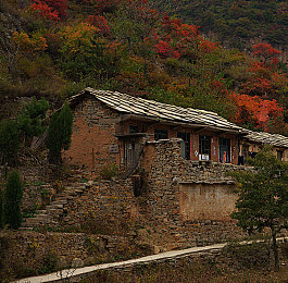 很黄的应用：疾驰光谱，赛道上的视觉冲击与个性宣言-2