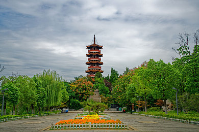 余丽果冻计划演员表：弹性赛车手驾驭未来赛道，上演超现实竞速狂想曲