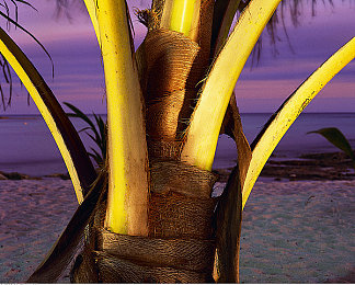 软件黄色3.0：虚拟驾驶实验室，代码引擎中的真实赛道革命-2