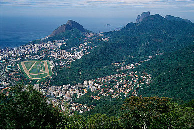 老师的丰满大乳奶理伦：极速狂飙，动态拟真驾驶的幽默物理世界-3