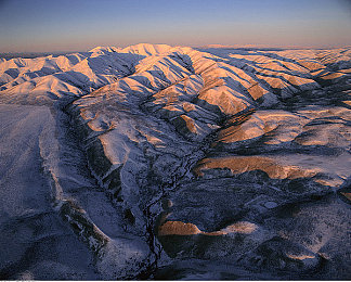 黄色APP3.3.0：极速革命，数据驱动，全新版本引领赛车模拟新纪元-2