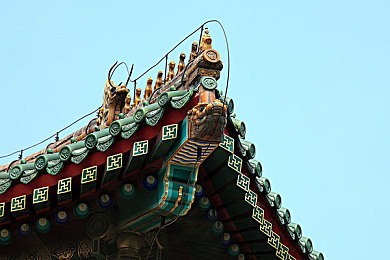 黄色APP下载.3.0.3：极速狂飙，赛道革命，真实物理沉浸竞速新纪元