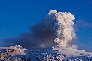 黄色软件每天下载：极限竞速地平线5，玩家创意涂装模组风靡社区