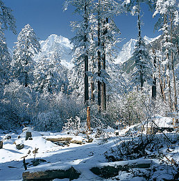 黄色软件免费下载3.3.3：极速狂飙新版隐藏车辆获取攻略，揭秘限定跑车挑战任务-3