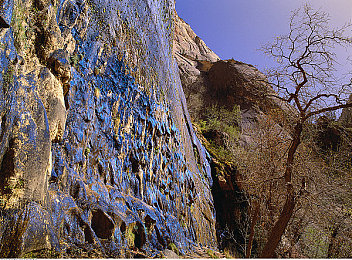 黄色下载大全免费3.3：极速狂飙3.3全新版本上线，全车辆免费解锁与深度玩法解析-3