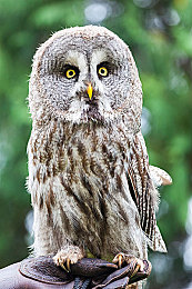 美人和男人打扑克又叫又疼软件：《极速牌局：狂飙对决》今日上线，卡牌策略与竞速体验完美融合-2