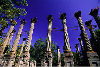 黄色2023下载：烈日飞驰，墨西哥沙海中的2023竞速艺术-2