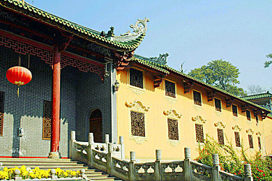 十大黄色软件OPPO：视觉革命降临，顶级赛车游戏借力色彩科技刷新竞速体验