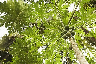 按摩师揉我奶头和花蒂:指尖韵律,疗愈秘境,触感解压大师-2