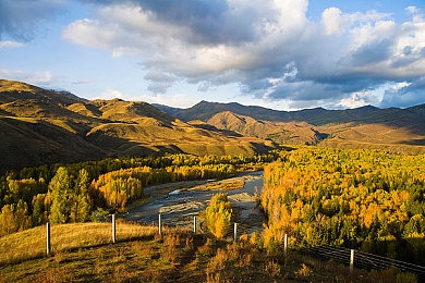 张婉莹和紫色面具：霓虹谜踪，极速暗影中的真相竞逐-3