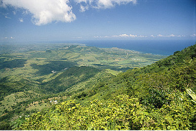 男女磋磋磋：双人竞速新作引爆合作热潮，极致默契决胜分秒之间