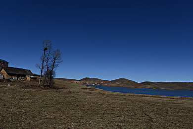 男生女生一起搓搓搓APP大全：双人指尖共驾，竞速手游中的协作狂飙体验