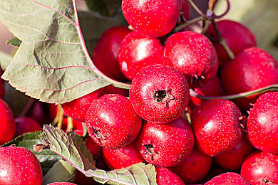 国产av成人影视：极速心跳，都市回响，情感引擎与钢铁轨迹的交织诗篇-4