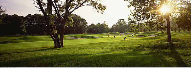 成全动漫高清观看资源：极速绘境，幻影轨迹的视觉交响诗篇