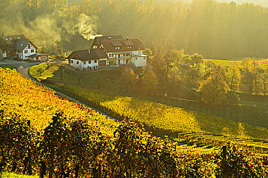 美女不穿衣服软件。：极速幻影模组争议引热议，自由与规范的赛车世界如何平衡-2