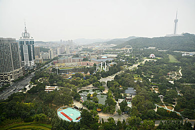 91大神『啪神ben女主角名字：极速代号BEN正式上线，硬核改装与街头竞速引爆驾驶激情-3