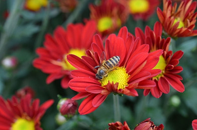 亚洲一区欧美二区:文化竞速新战场,赛车游戏中的东西方驾驶哲学对决-2