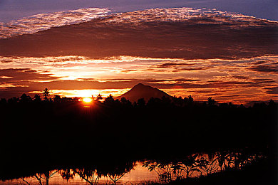 男奴Gay裸体捆绑调教：极速驾驭，精密调校释放赛道终极自由