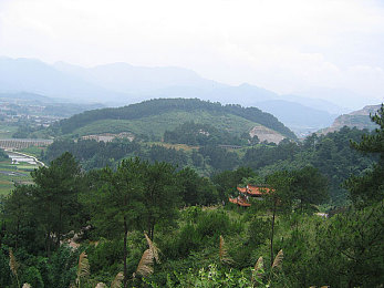 真实3p老婆的刺激经历：地平线5三人车队制霸攻略，合作竞速引爆墨西哥狂野赛道-2