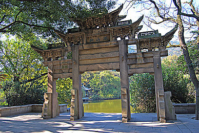 2023年b站入口:极限竞速地平线5全新攻略,专业技巧助你成为赛道冠军-3