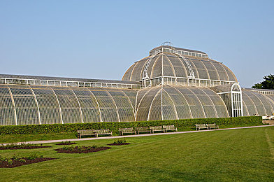 丽江夫妇3p绿帽：情感抉择与客栈经营，开放世界中的信任冒险之旅-3