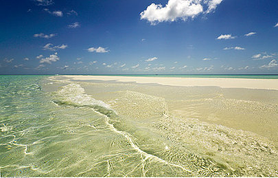 155黑料网：暗影情报站，极速解密地下赛车世界-2