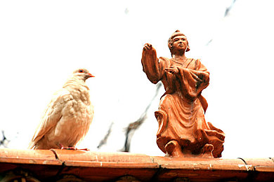 黄色软件下载大全oppo：OPPO设备竞速游戏全攻略，极致体验与安全下载指南-2