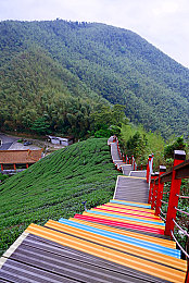 男生女生一起差差差的视频软件：极速搭档今日上线，双人协同驾驶革新竞速游戏体验-2