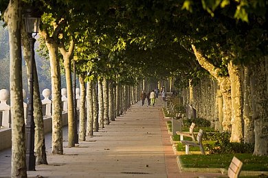 黄色3·0：竞速新纪元，视觉革命与真实驾驶的深度融合