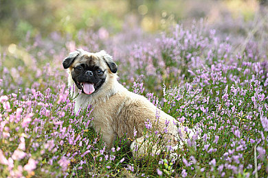 网曝门 91：极速纪元隐藏数据遭泄露，玩家公平与游戏安全再引关注-2