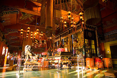 日批发软件大全免费下载：极速商战，改装帝国，地平线贸易风云录