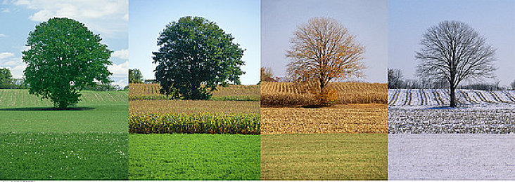 男女打扑克一起差差差：极速改装，相容博弈，赛博卡牌竞速风云录-1