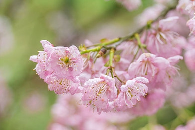 黄色软件404下载：虚拟都市寻宝遇阻，顶级跑车程序暗藏数字化战争