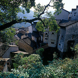 精品三区四区：极限竞速地平线，征服巅峰赛道与海岸极速的艺术