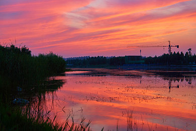 黄色软件下载3.0.3安装免费：霓虹都市狂飙，免费极速改装新纪元